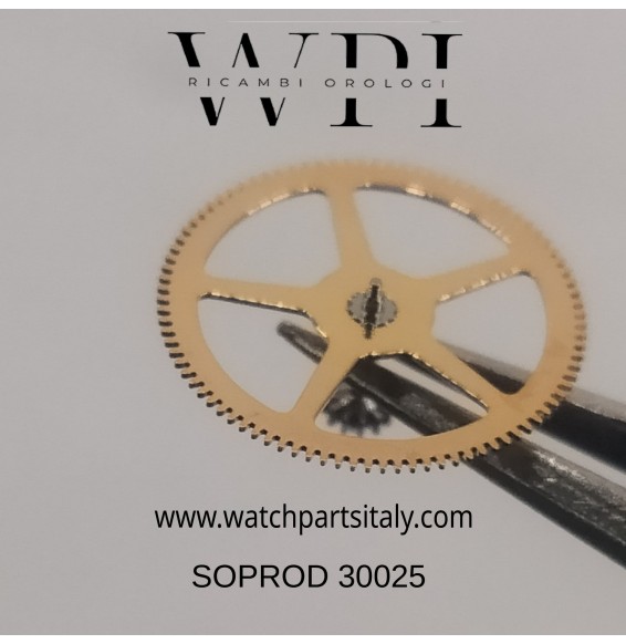 PATEK PHILIPPE 320 BARILETTO ORIGINALE COMPLETO DI MOLLA DI CARICA - PATEK BARREL